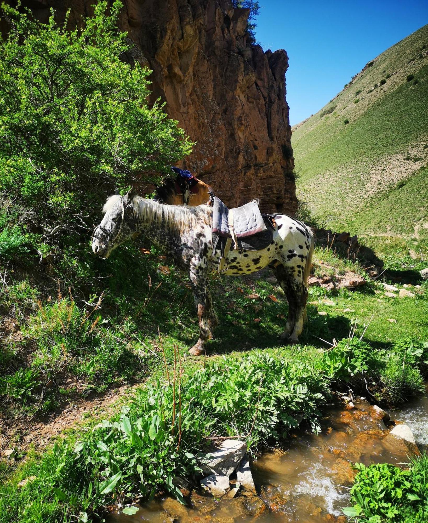 Guest House Bereke In Kyzart Village Bagysh Exterior photo